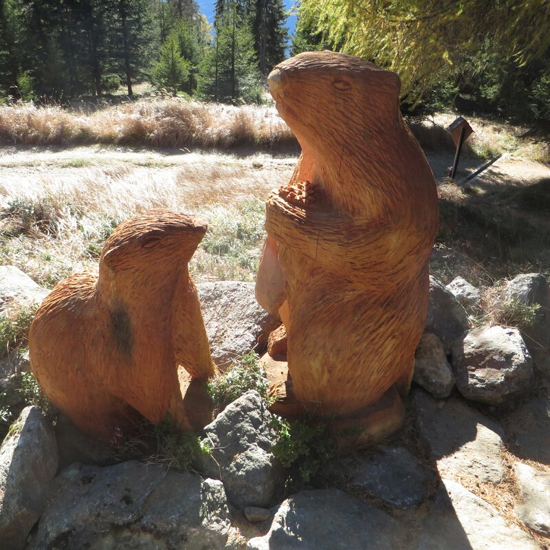 Sculture di legno di marmotta | © Paul Seeber