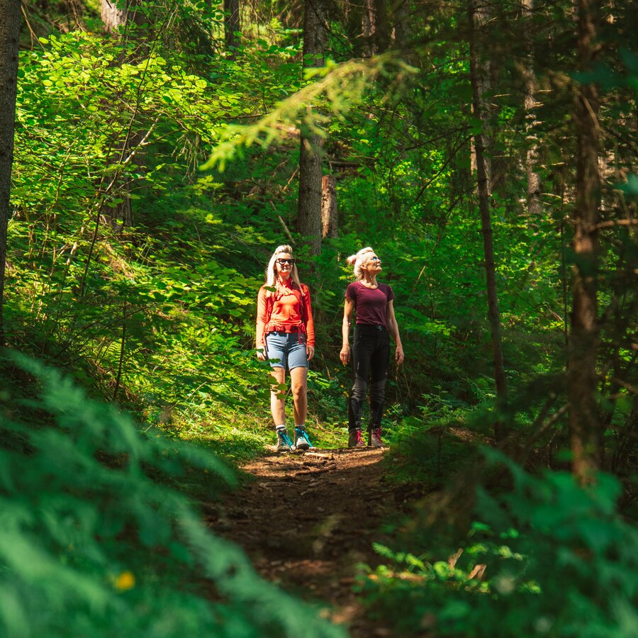 Zwei Wanderer genießen die Natur | © HERB - Media vGmbH