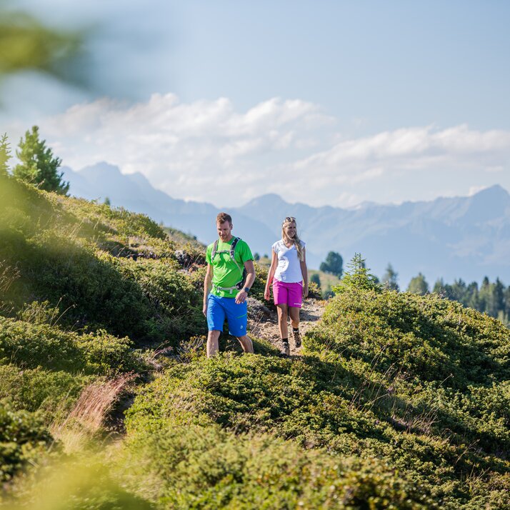 Wanderer in der Höhe | © Harald Wisthaler