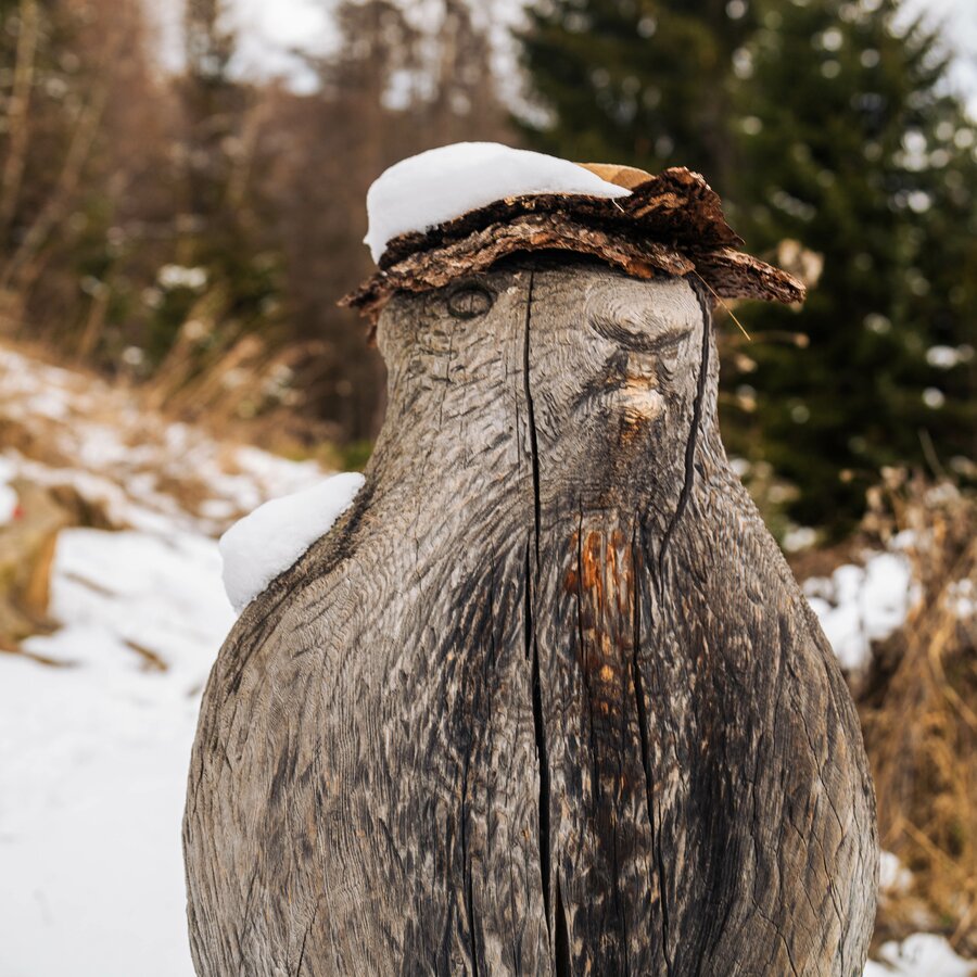 Hiking with marmots | © HERB-MediavGmbH