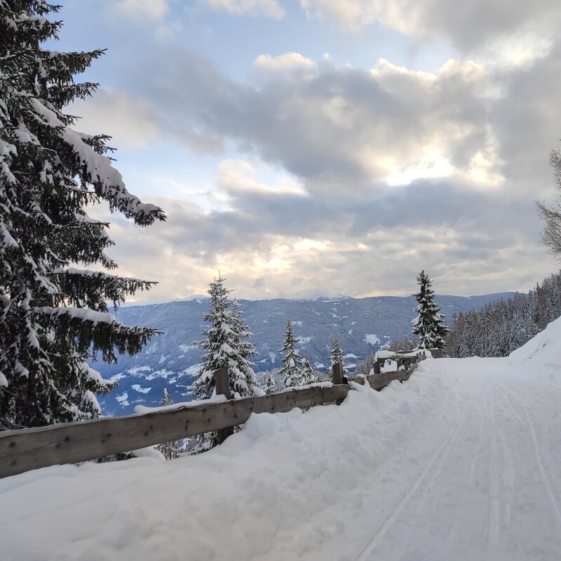 Hiking trail | © Moarhofalm